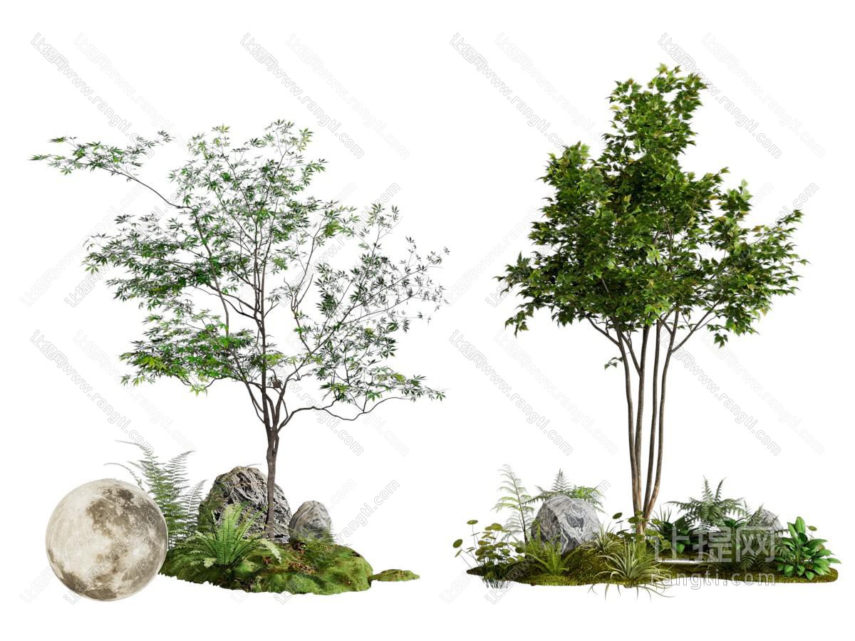 现代景观树木