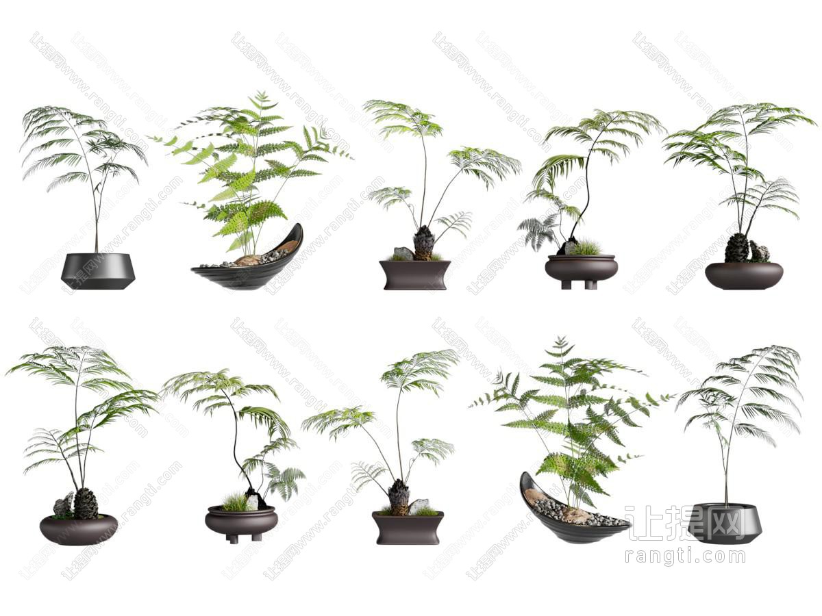 新中式桌面盆景盆栽
