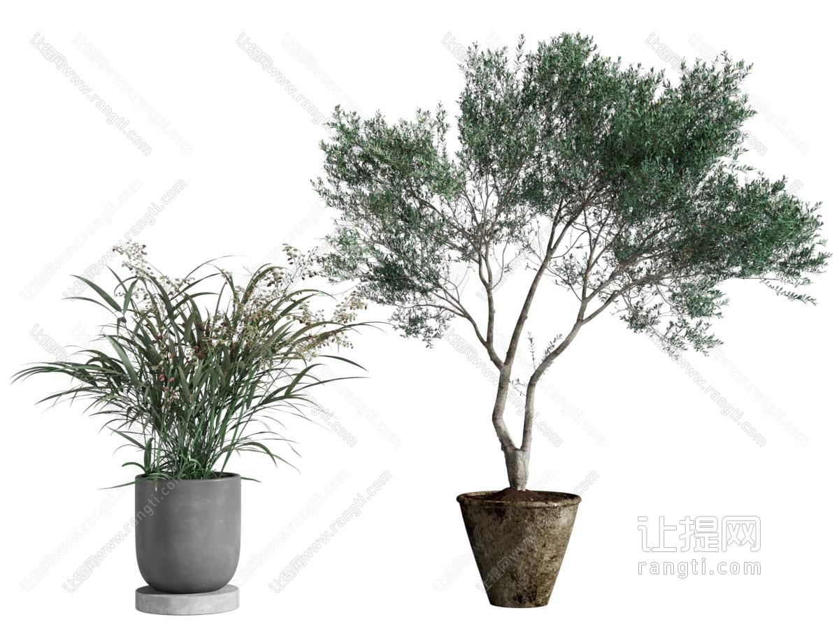 现代花盆盆景盆栽植物