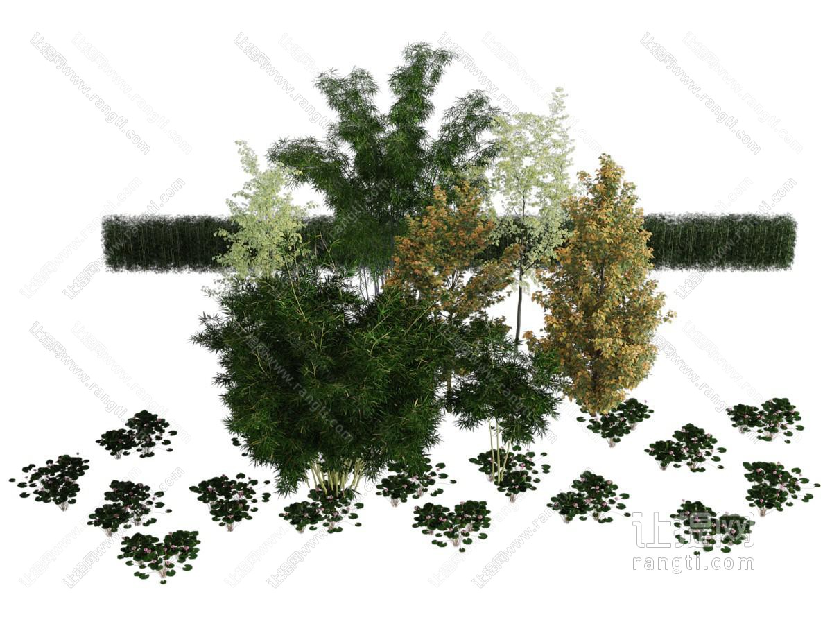 现代植物 花草 灌木丛