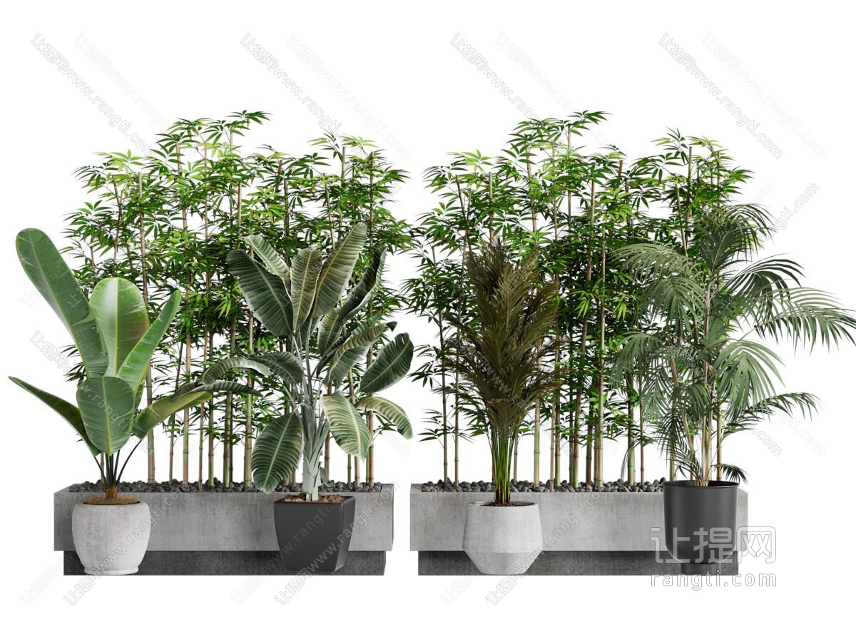 现代花池 竹子 盆景盆栽植物