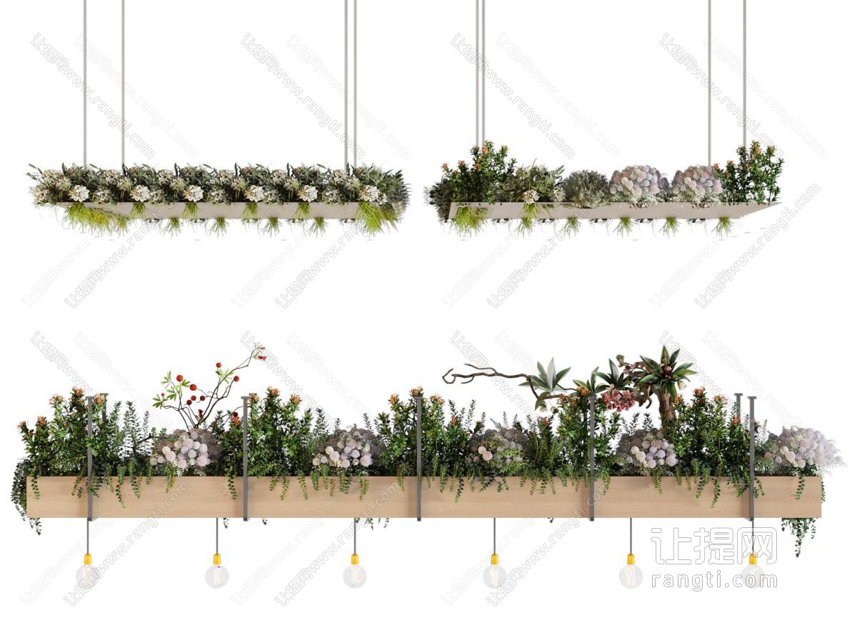 现代金属花架 吊篮绿植
