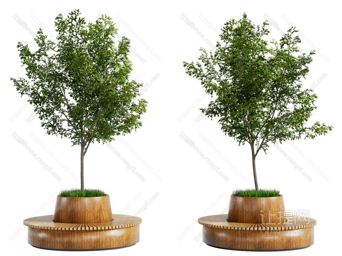 现代树 景观树庭 院树 木树池 景观座椅 公共椅子