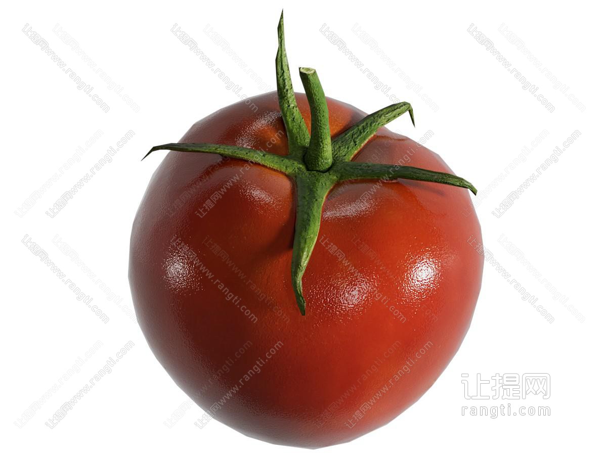 现代西红柿 蔬菜