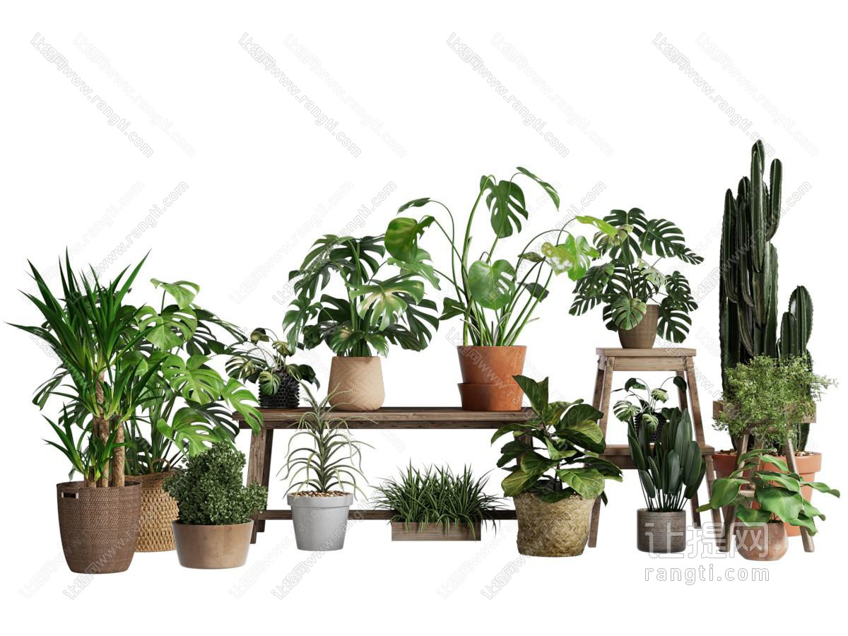 现代花盆盆景盆栽植物