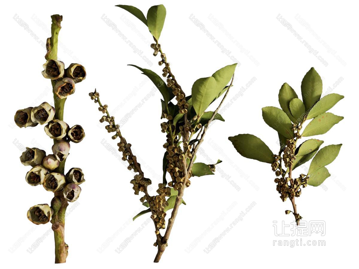 现代米碎花 花 花枝 树枝 树叶