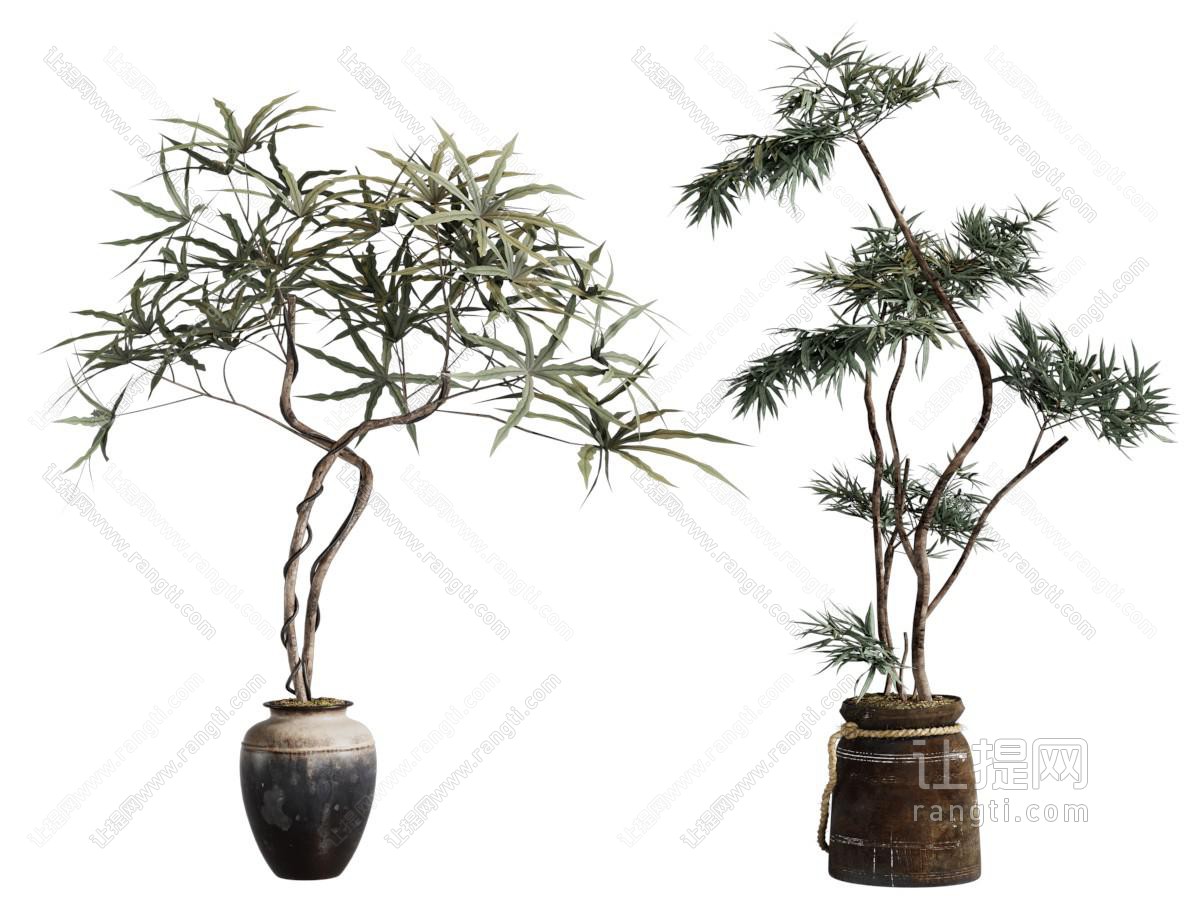 现代花盆盆景盆栽植物