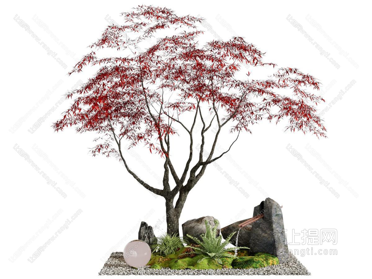 新中式枫树 石头 花草植物景观园艺小品