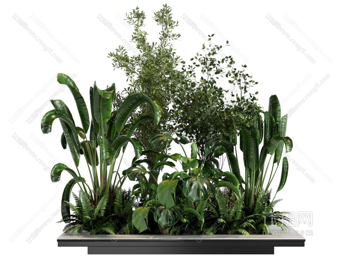 现代花坛 花草植物景观园艺小品