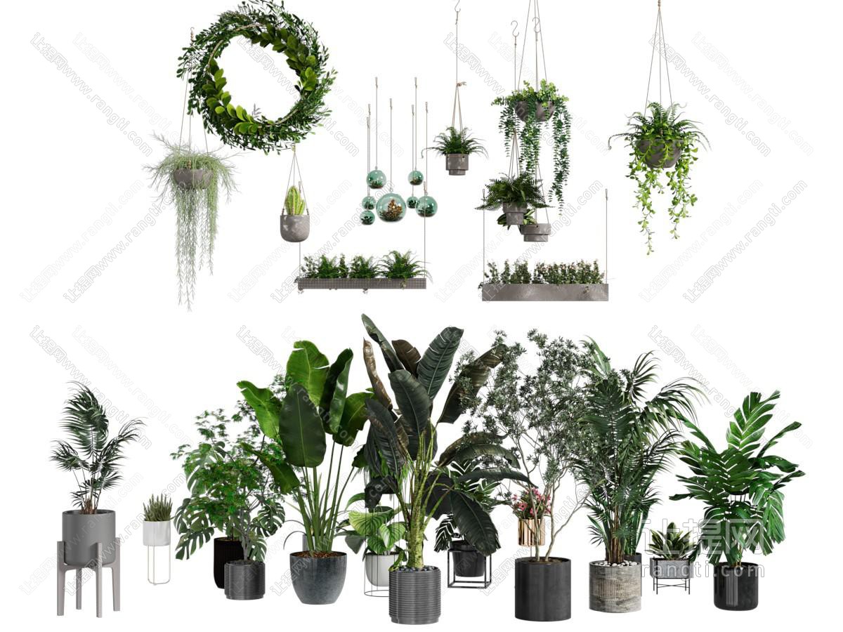 现代花盆盆景盆栽植物 吊篮绿植