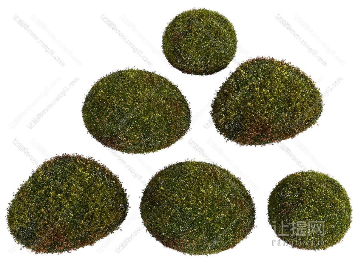 现代景观草坪 草地