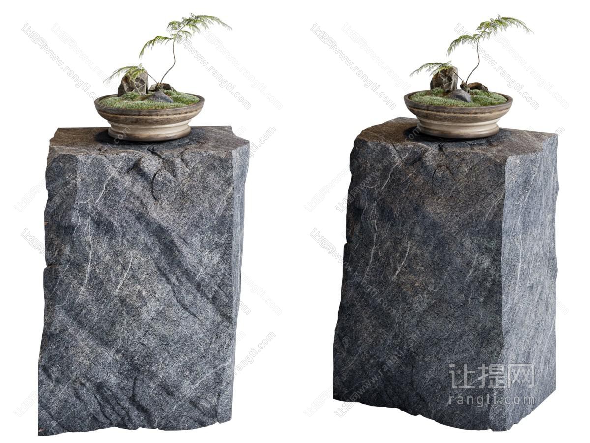侘寂风苔藓盆景盆栽植物