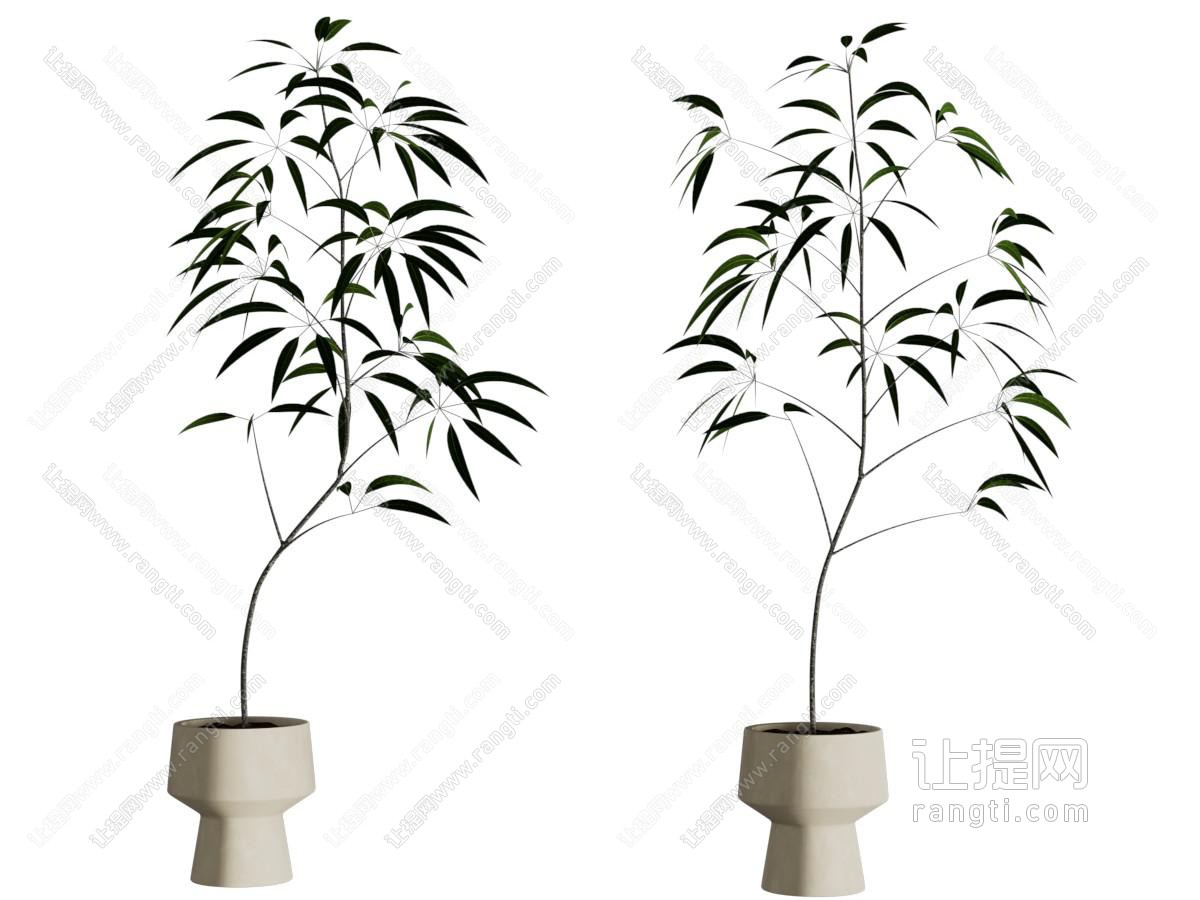 现代花盆盆景盆栽