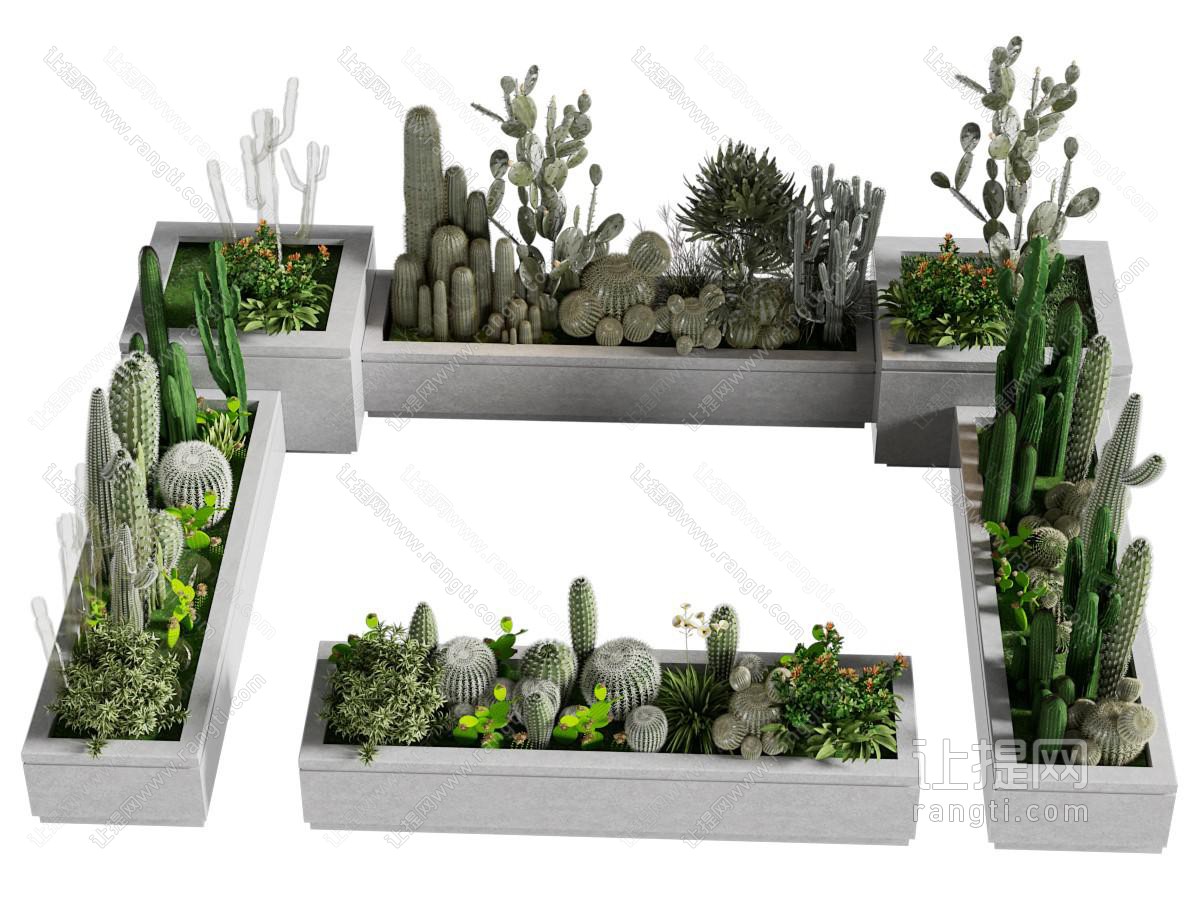 现代花池 仙人掌 仙人球 多肉植物盆景盆栽