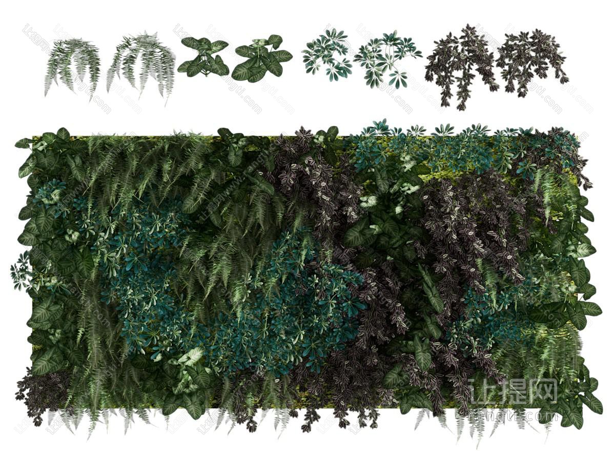 现代植物墙