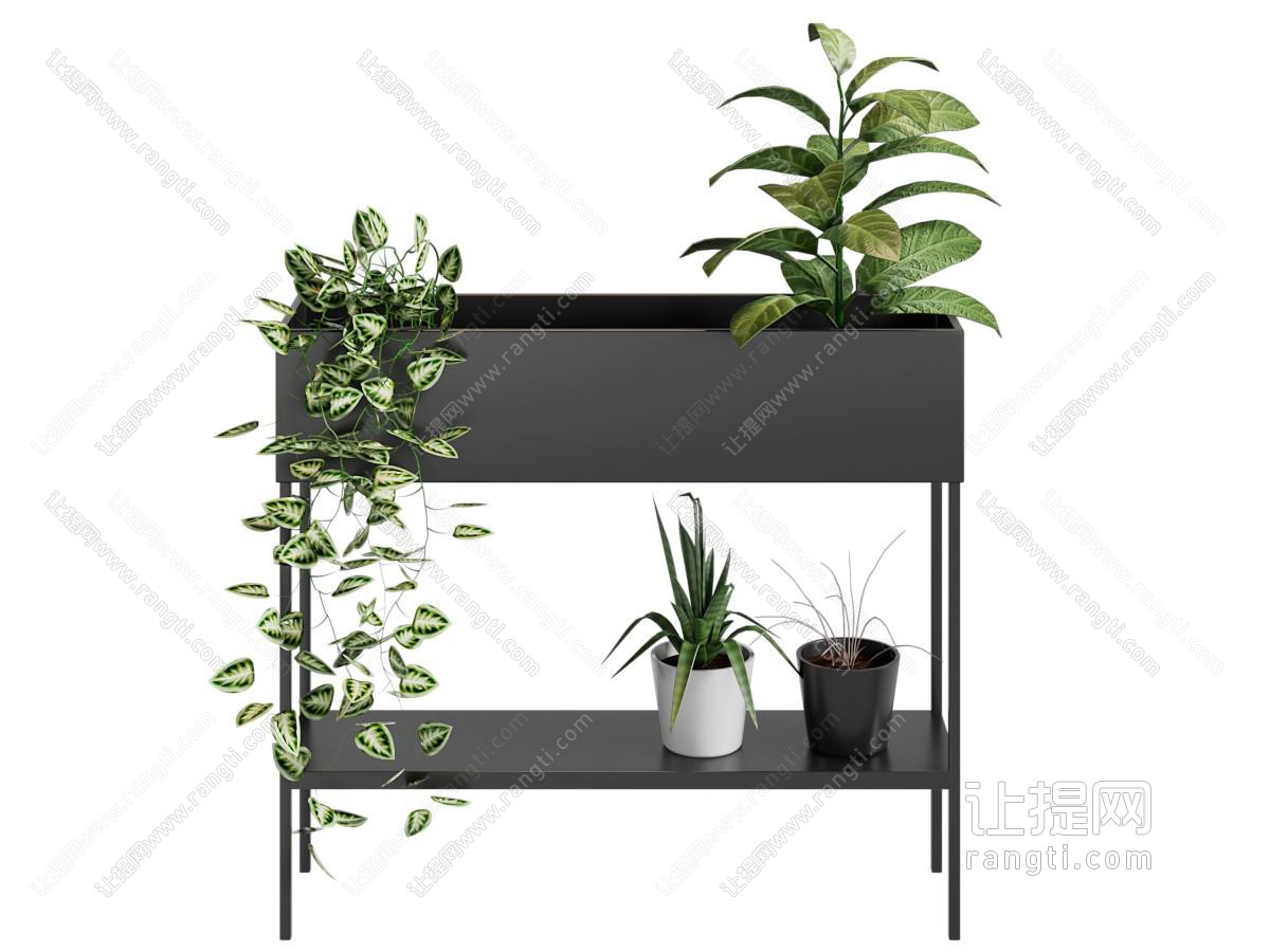 现代花箱 花盆盆景盆栽植物