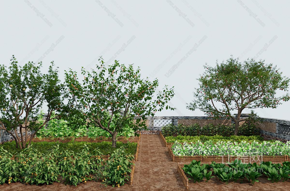 自然风菜地景观