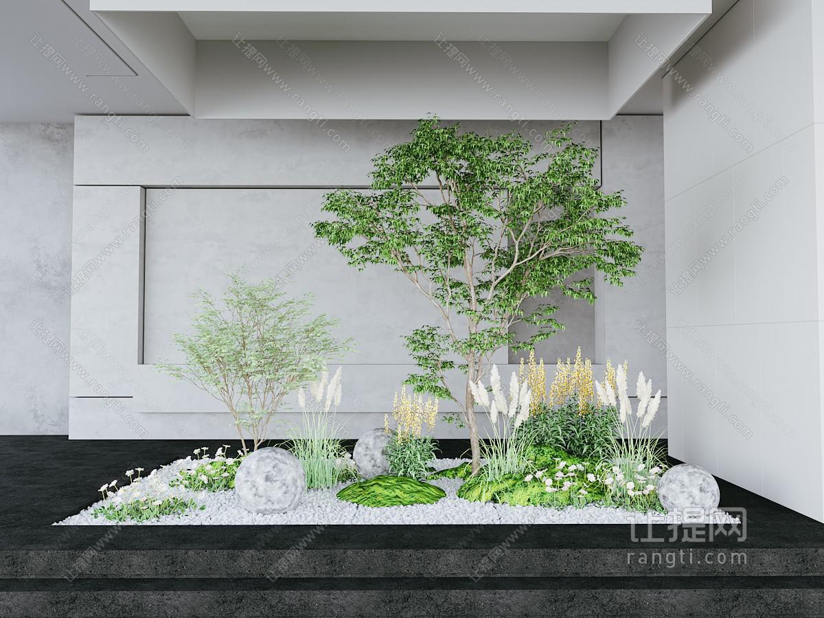 室内植物绿植造景