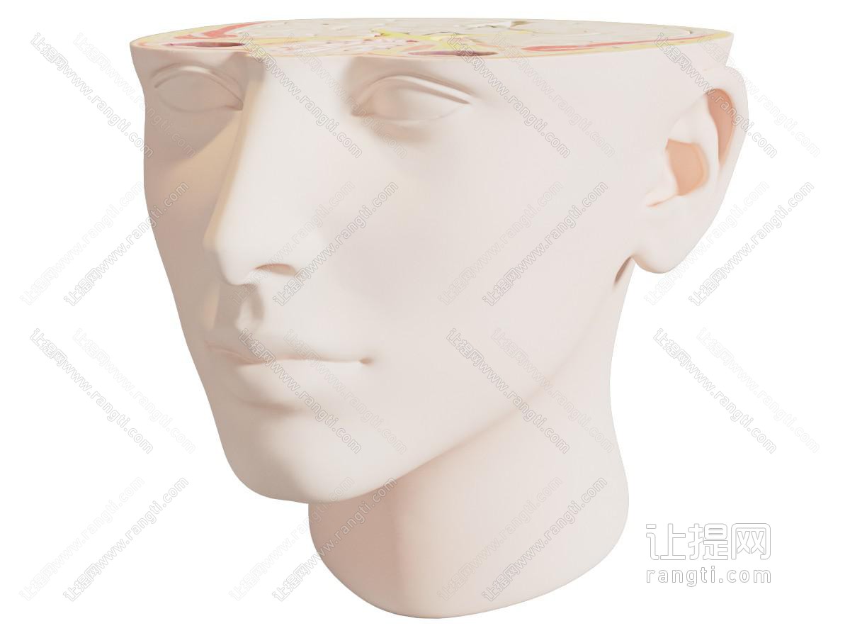 现代鼻窦横断面 医疗设备 医疗器械