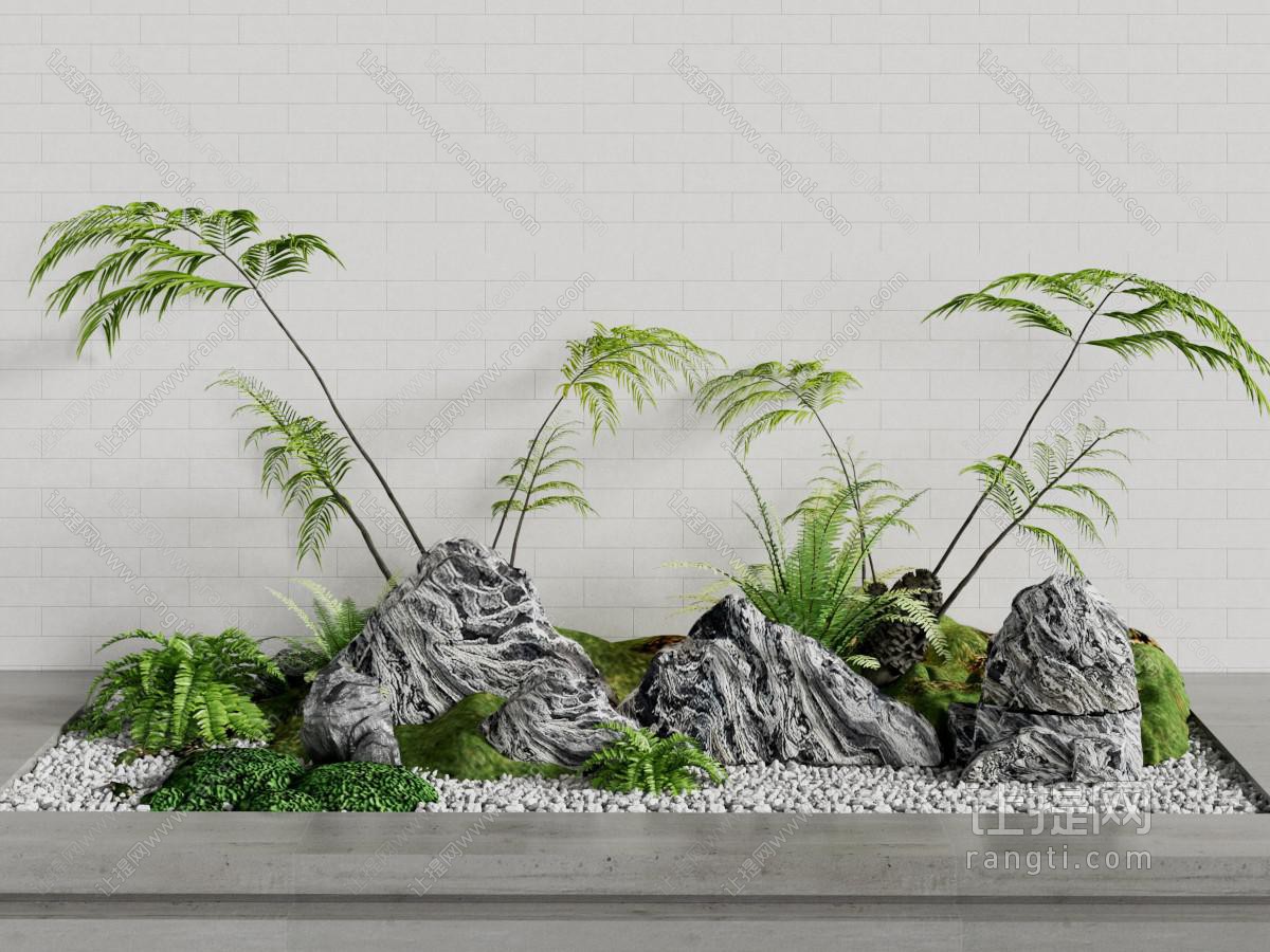室内造景 植物堆