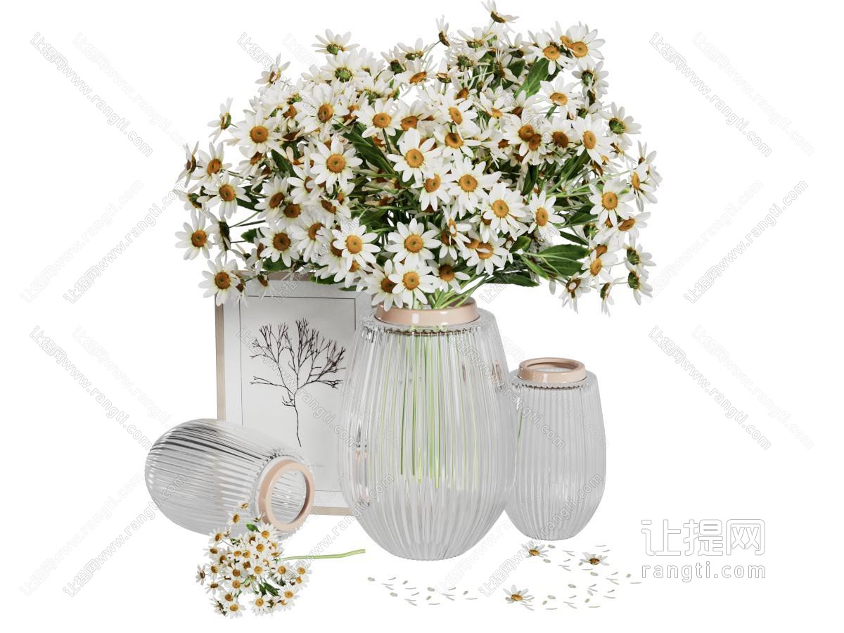 现代雏菊花瓶花卉