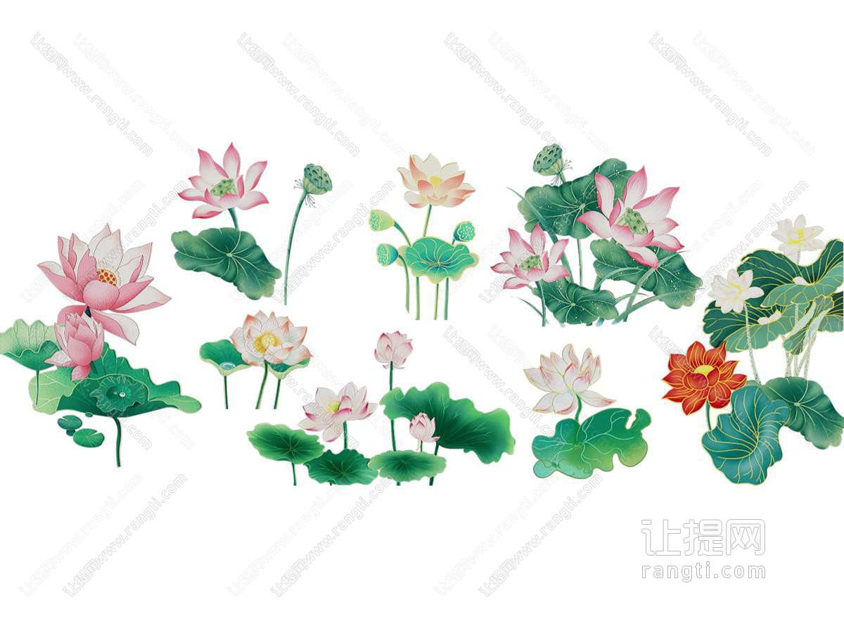 新中式植物画