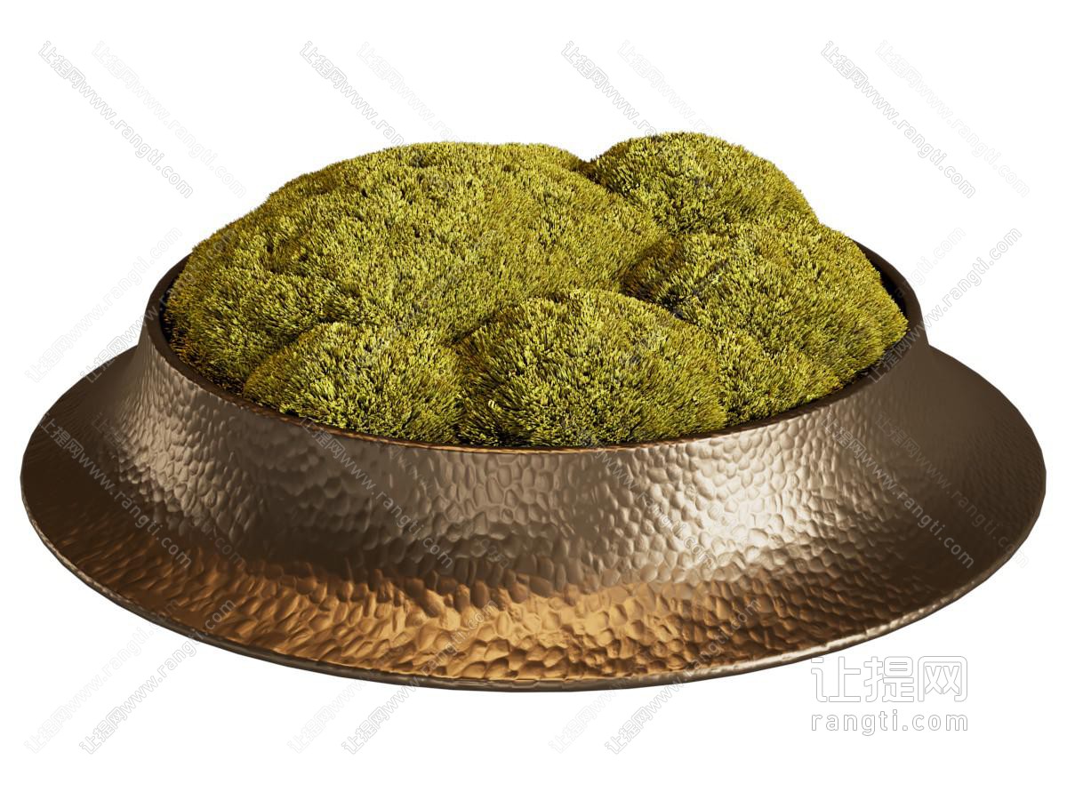 现代苔藓盆景摆件