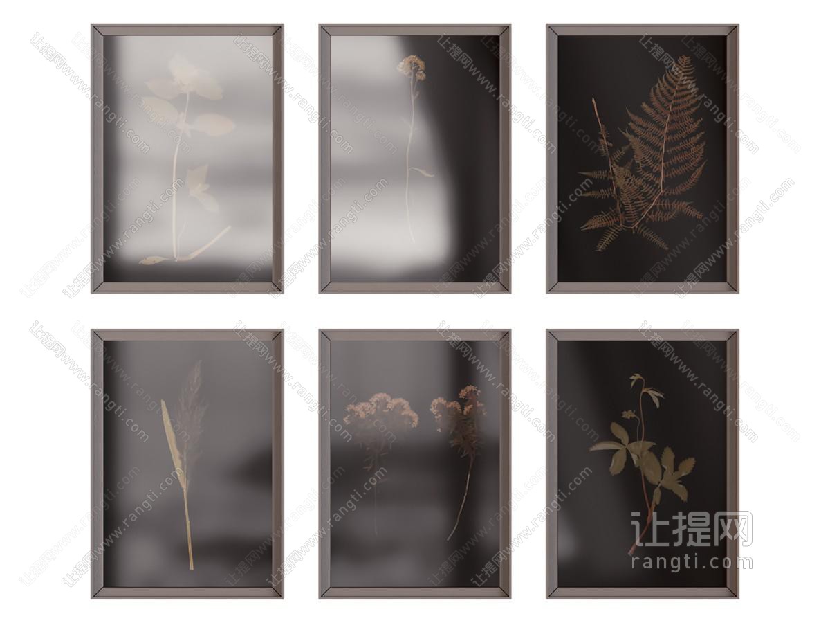 现代植物装饰挂画