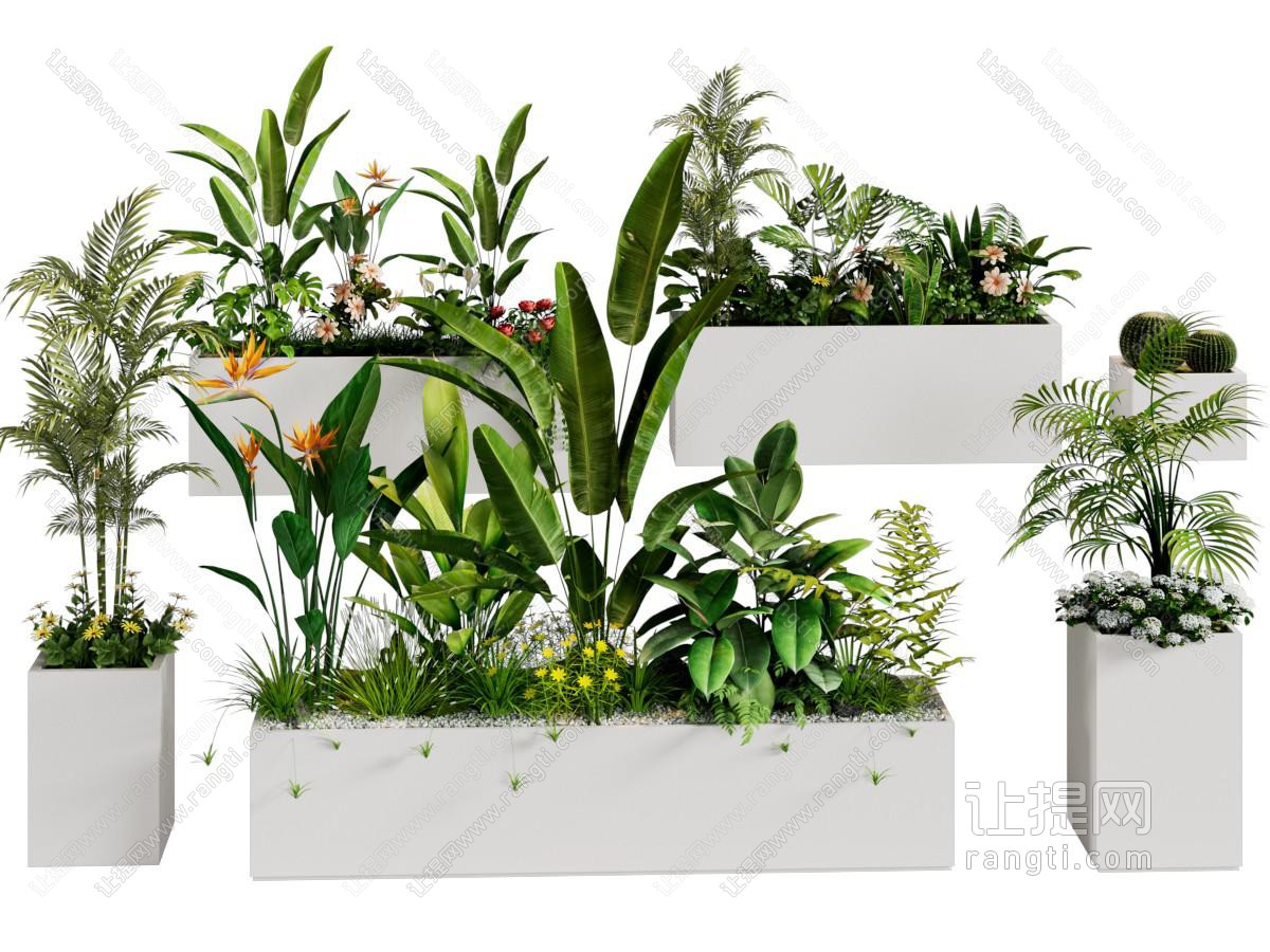 现代花坛 植物盆景盆栽