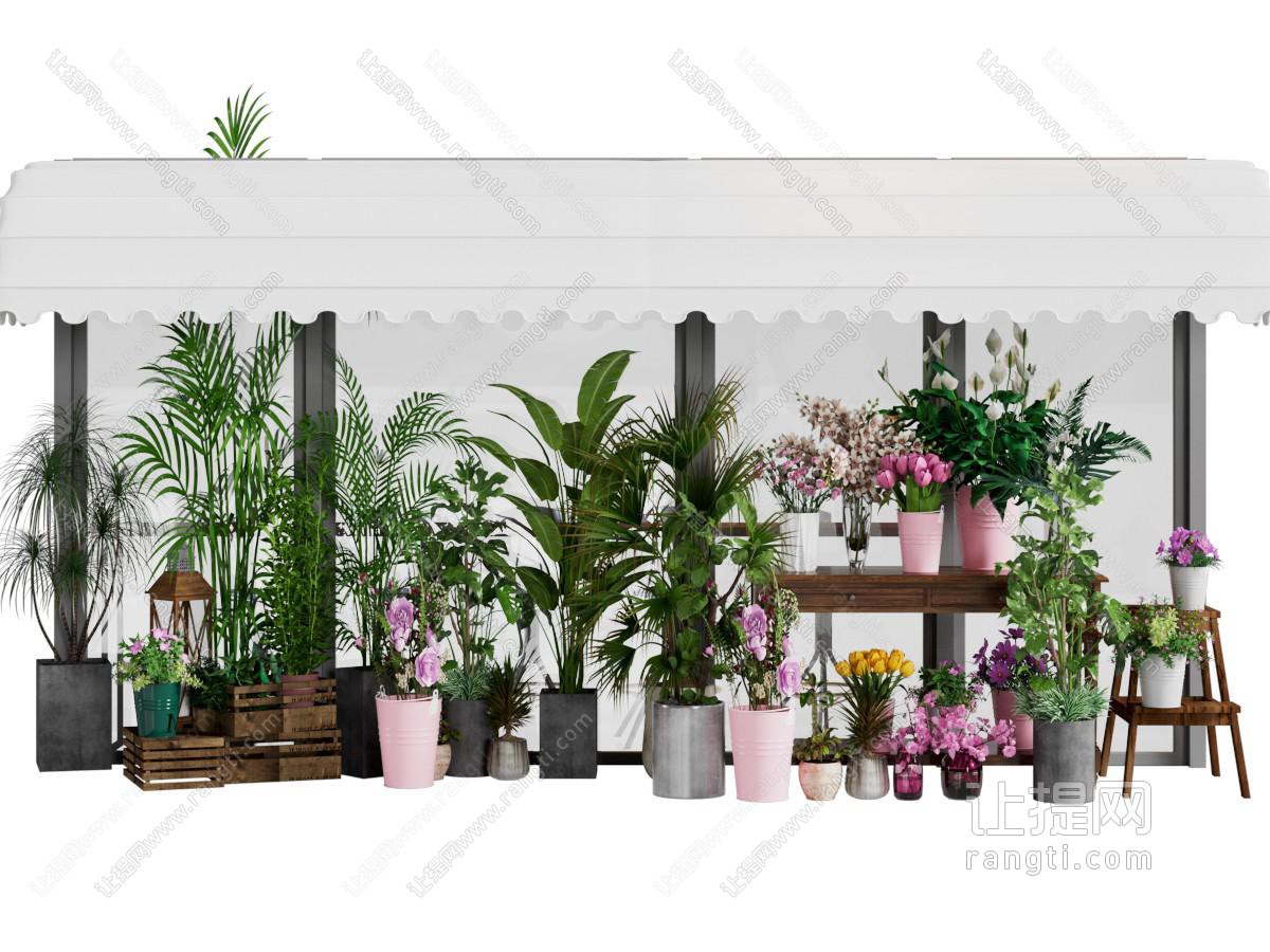 现代盆景盆栽 花组合