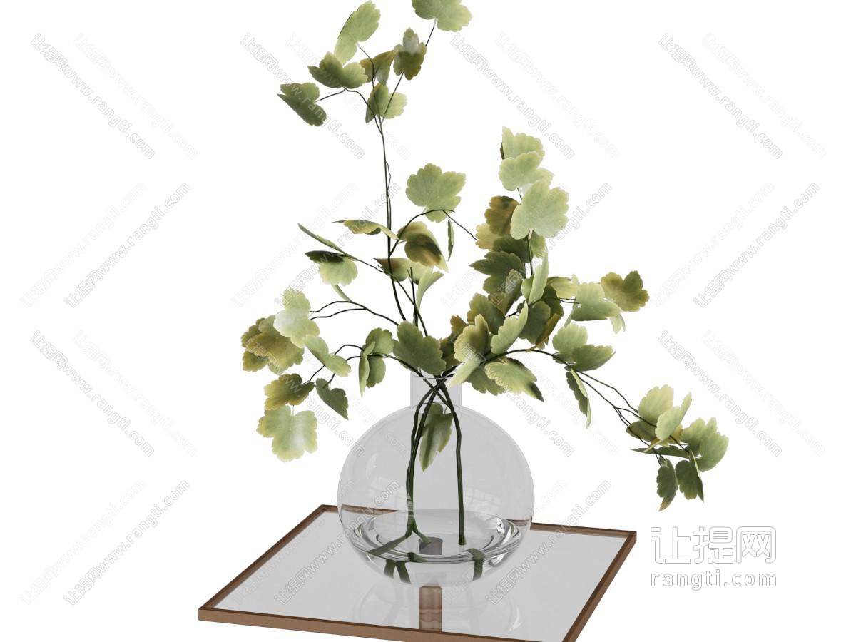 玻璃花瓶 水生植物