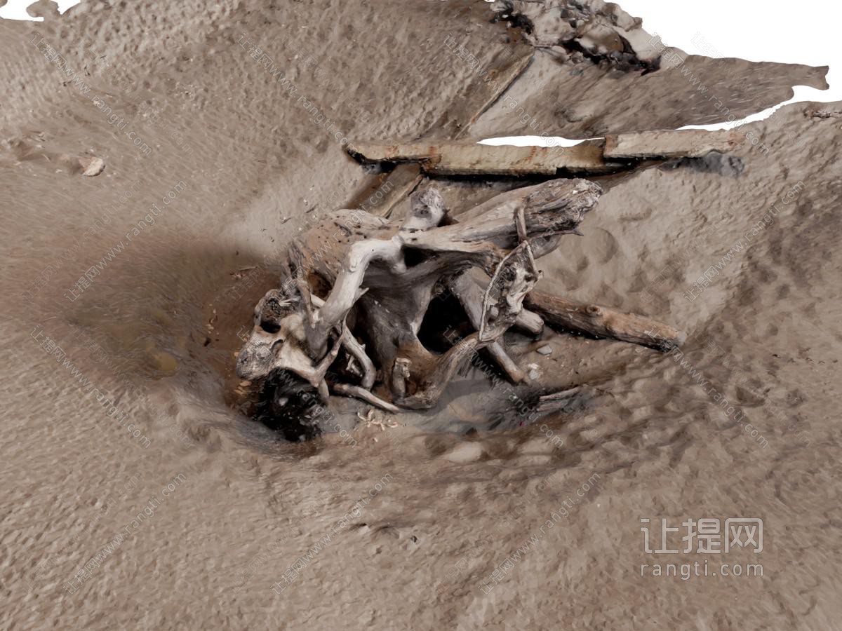 现代沙滩 海岸线 漂流木 腐朽的树根
