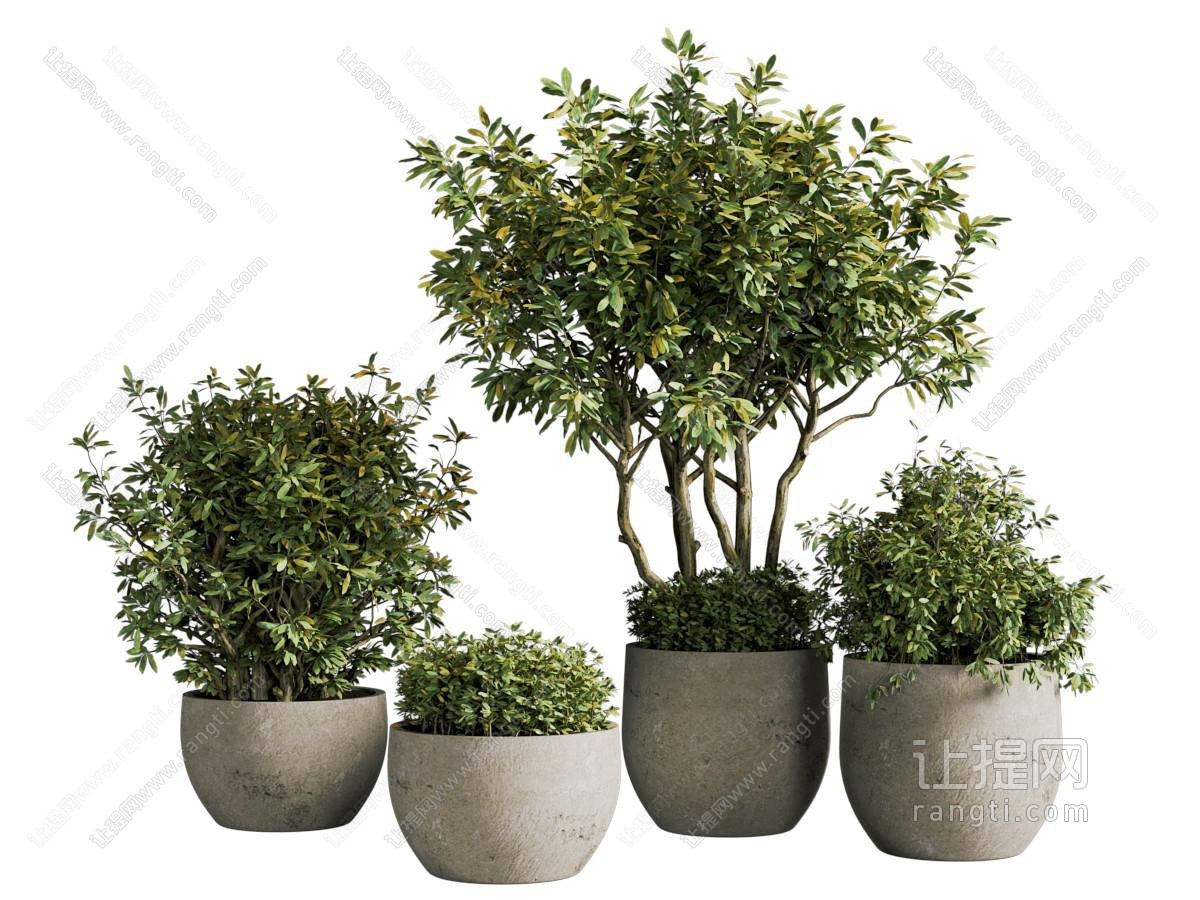 侘寂风花盆盆景盆栽植物