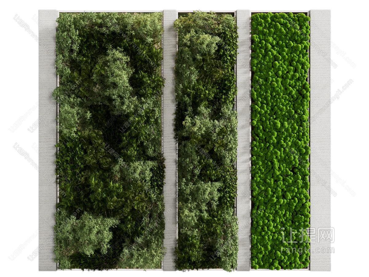 现代植物墙