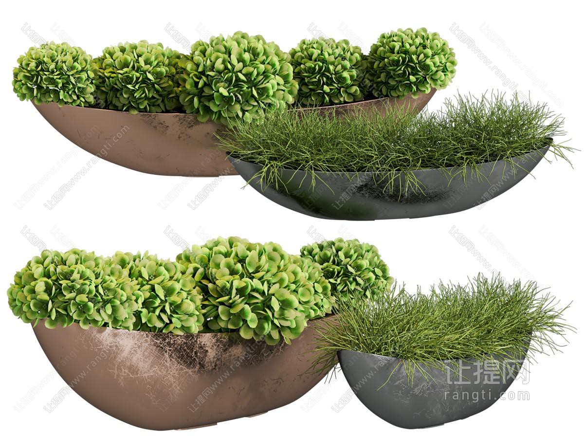 现代苔藓盆景盆栽植物
