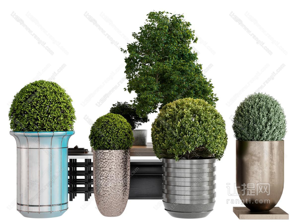 现代户外花盆盆景盆栽植物