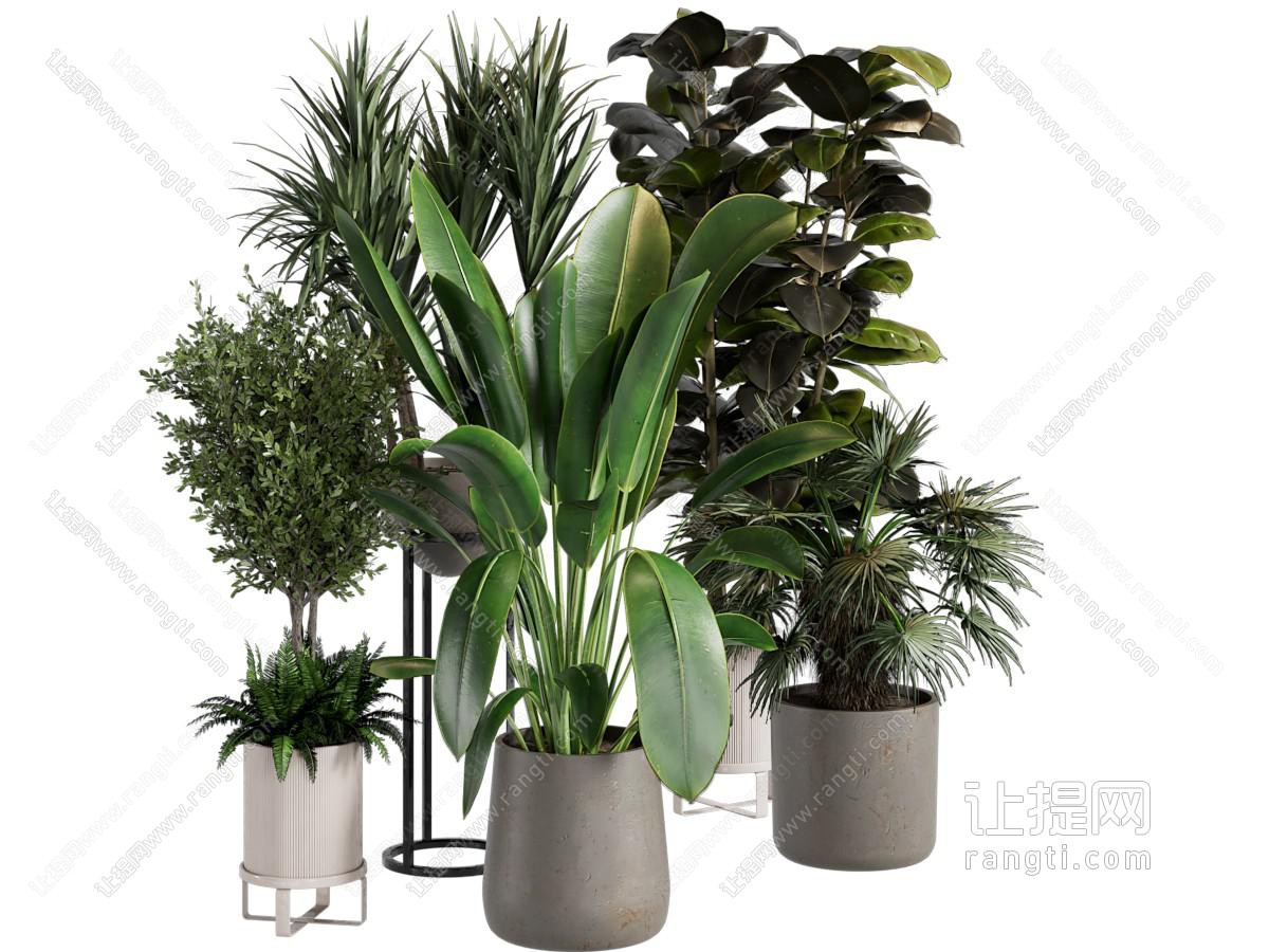 现代绿植盆景盆栽