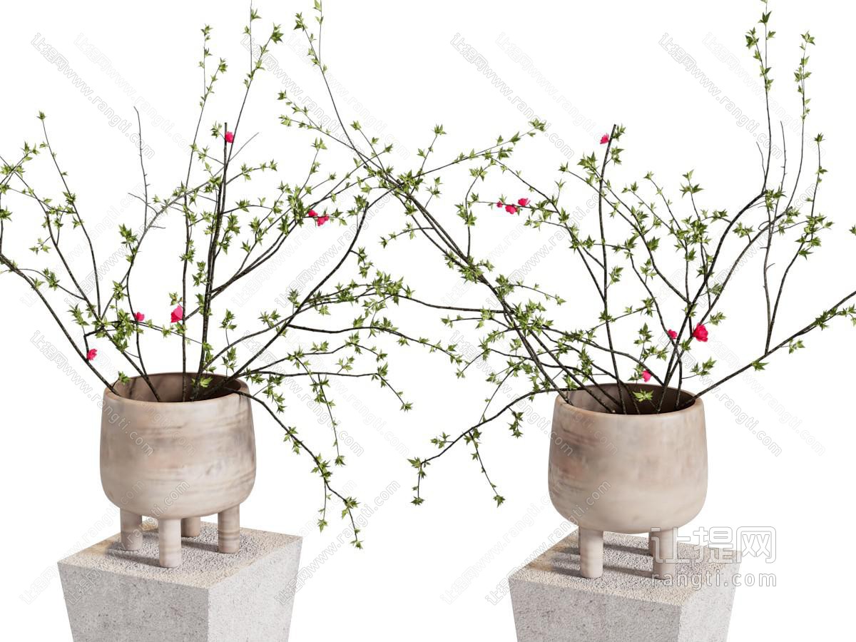 陶罐花瓶 花艺 干枝 插花