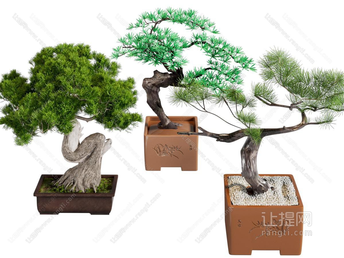 中式绿植盆景盆栽