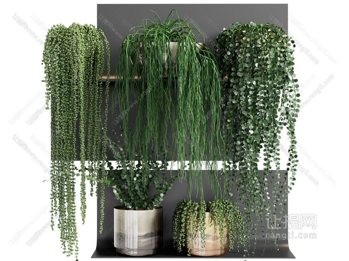 现代绿植盆栽