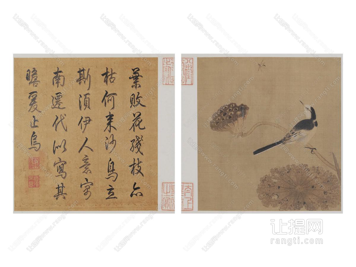 中式传统挂画 宋 疏荷沙鸟图 字画