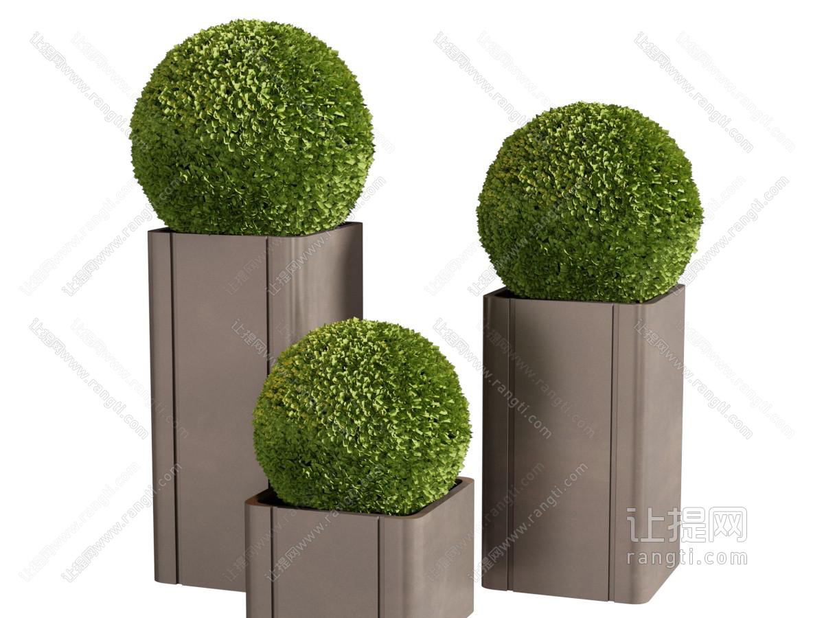 苔藓球 酒店苔藓盆景绿植