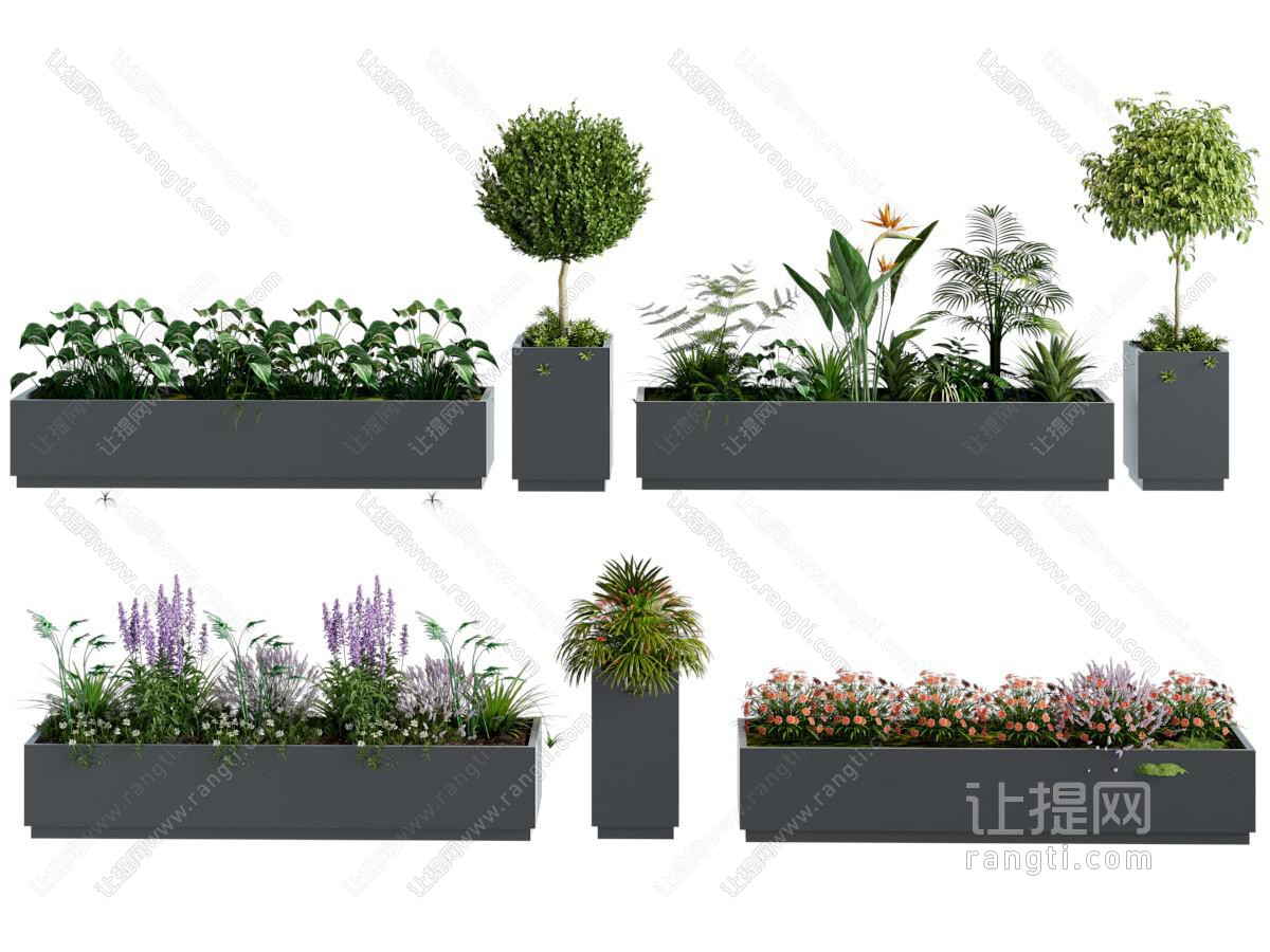 植物花箱 植物堆  花草