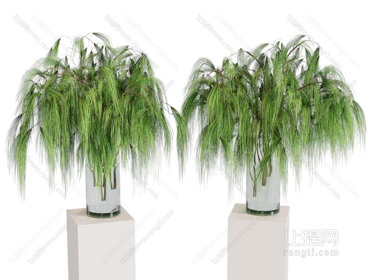水生植物 绿植 松枝 插花 摆件 树枝