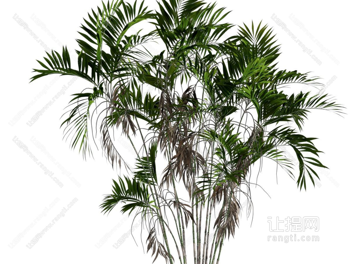 植物堆 绿植 植物 景观