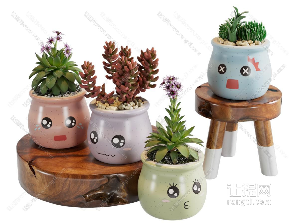 现代多肉植物 盆景盆栽
