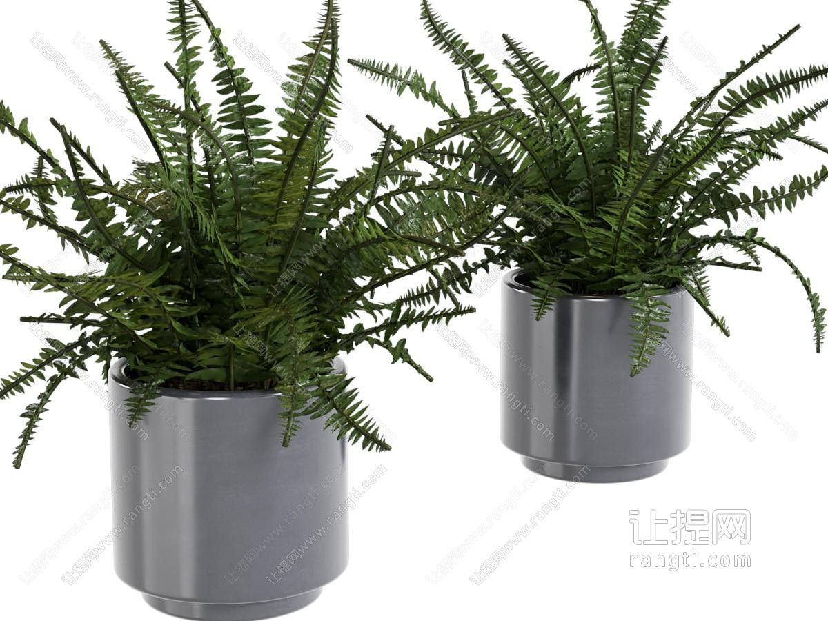 绿植软装花瓶 蕨类小摆件