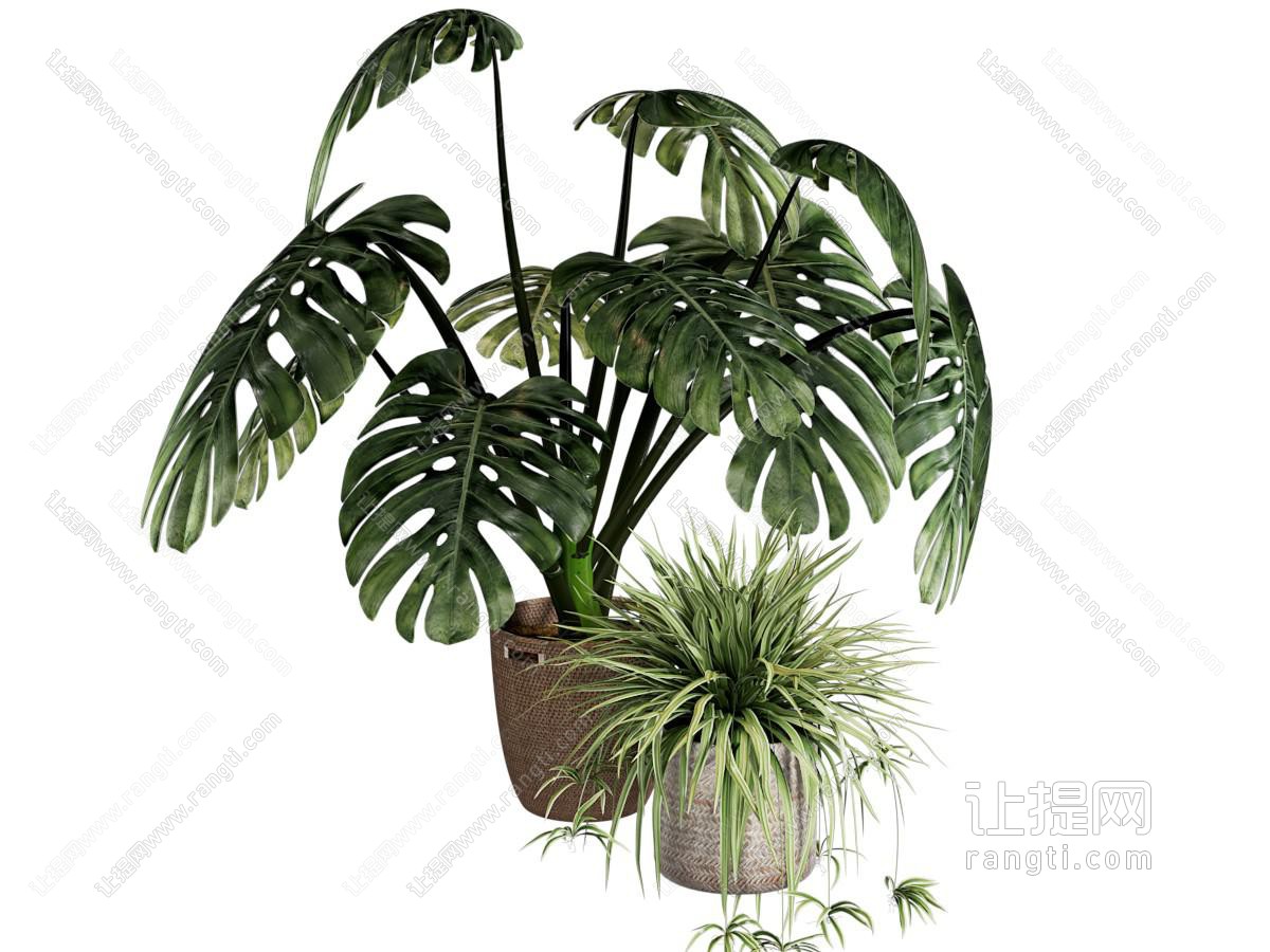 盆栽 龟背竹 吊兰 绿植假花永生花 花盆花艺 天堂鸟