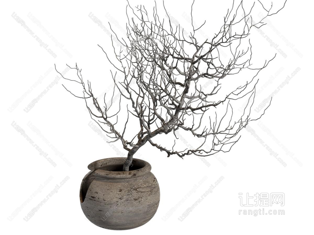 侘寂干枝盆栽