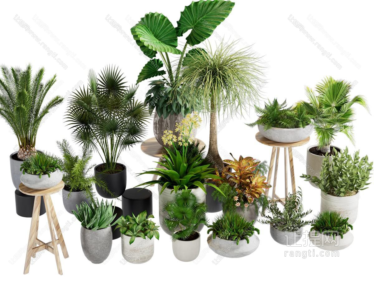 现代绿植盆栽组合